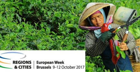 REMARC talk at European Week of Regions and Cities 2017